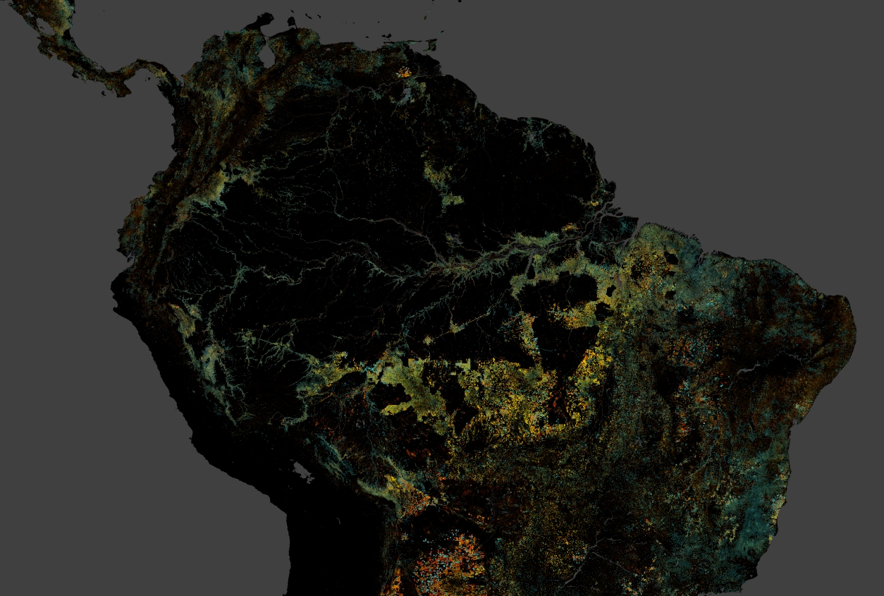 View of the Global Forest Change Map - See online at https://earthenginepartners.appspot.com/